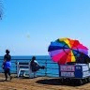 Meet your Posher, Evelyn